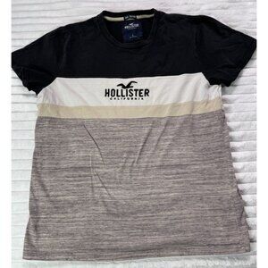 HOLLISTER White Short Sleeve Logo Colorblock Shirt Men's Large